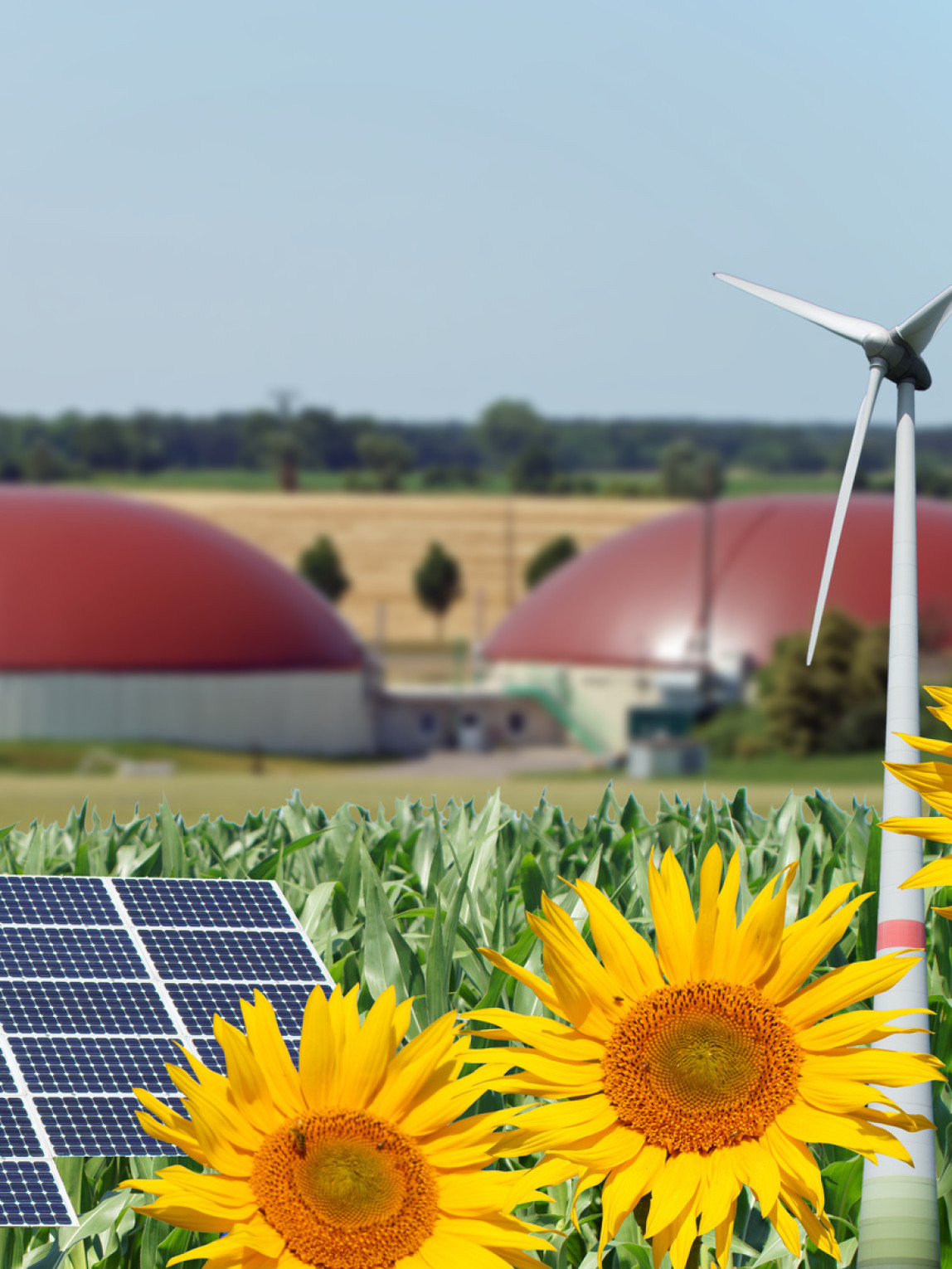 Erneuerbare Energien