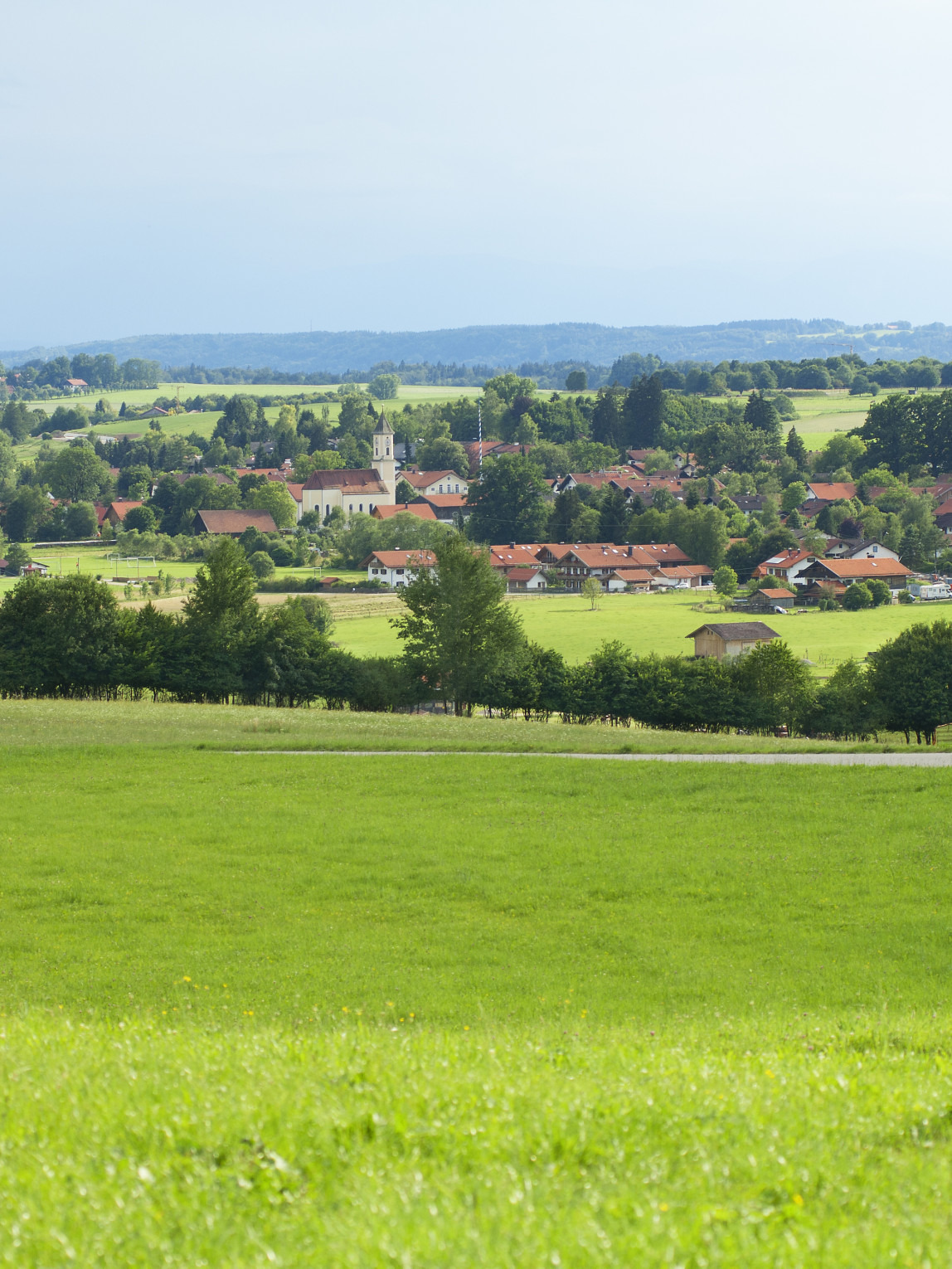 grüne Wiese mit einem Dorf im Hintergrund