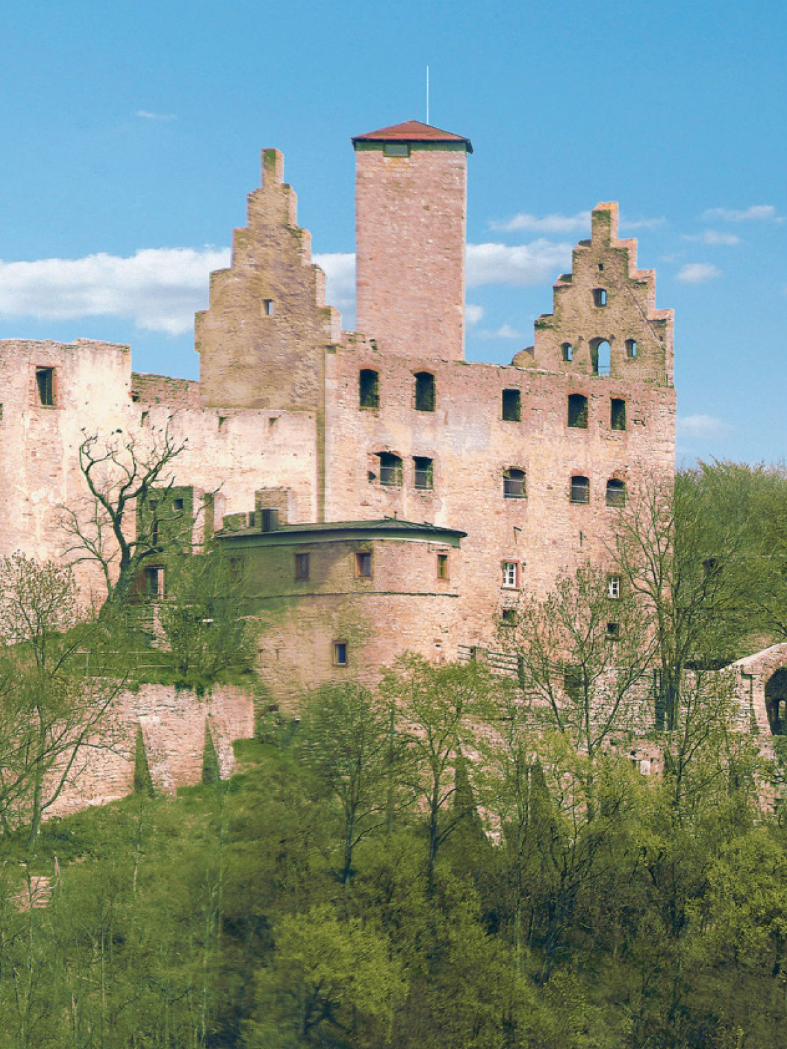 Trimburg
