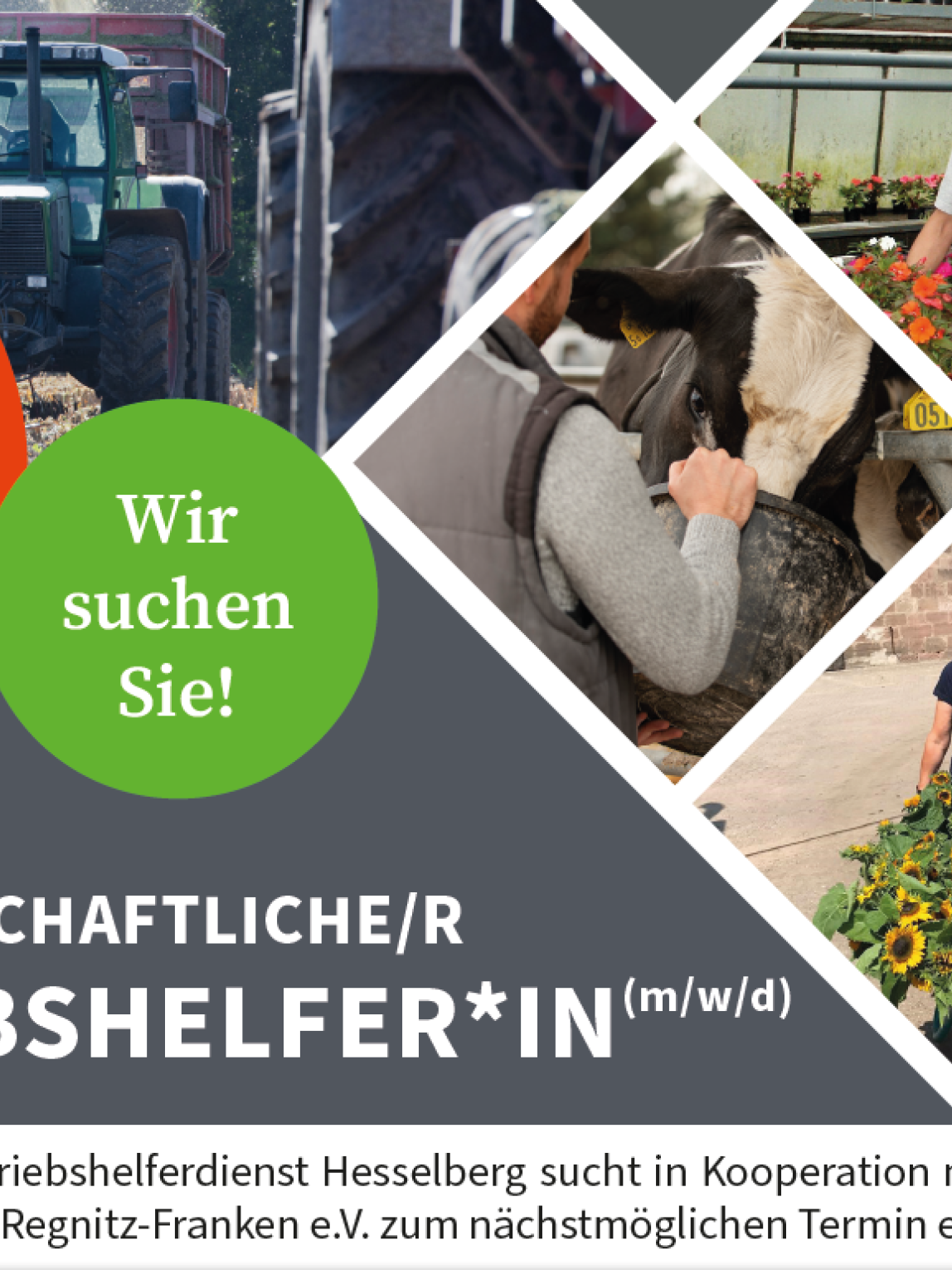 landwirtschafliche/n Betriebshelfer*in (m/w/d) gesucht