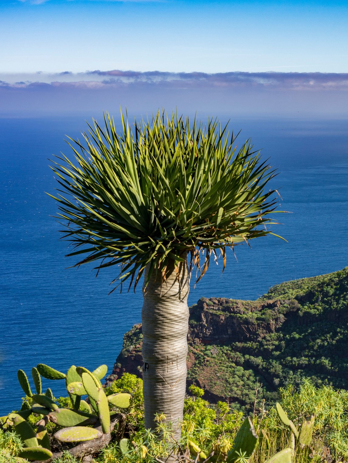 La Palma 