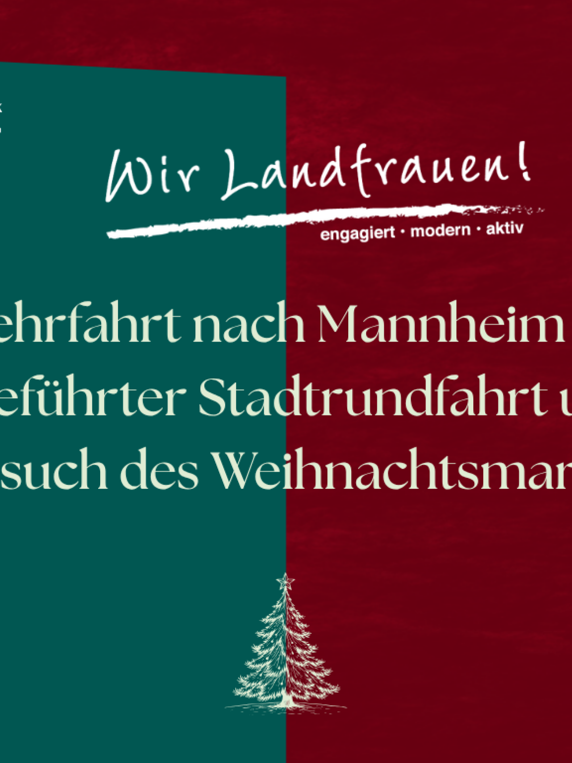 Website Mannheim