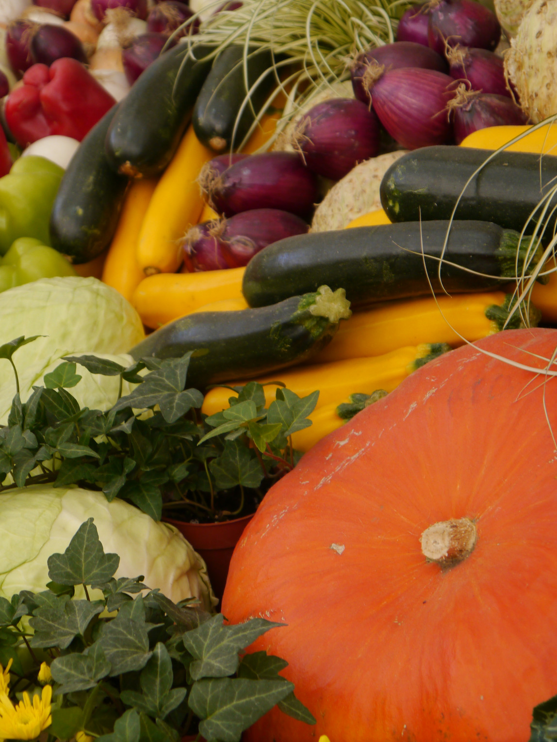 Kürbis_Herbst_Bild