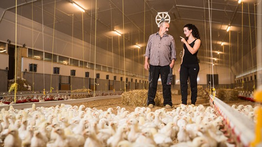 Vater und Tochter in ihrem hochmodernen, hellen Geflügelstall