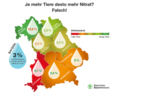 Die Grafik des Bayerischen Bauernverbandes zeigt, dass hohe Nitratbelastung und VIehdichte nicht zusammenhängen.