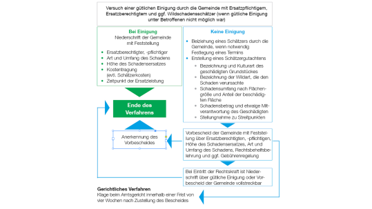 Grafik Wildschäden