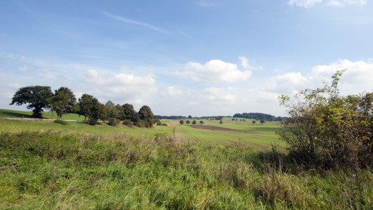 Weiß-blauer Himmel mit Bäumen und Wiesen