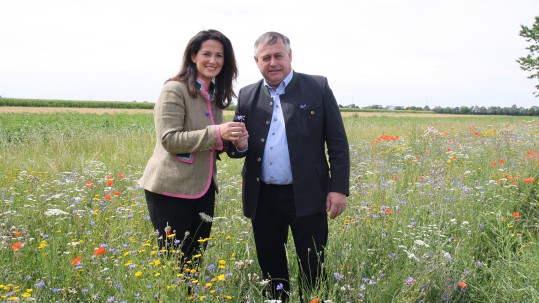 Die bayerische Landwirtschaftsministerin Michaela Kaniber und Bauernpräsident Walter Heidl stehen inmitten einer Blühfläche