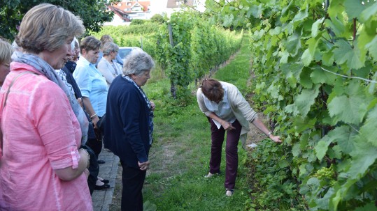 Führung Wein