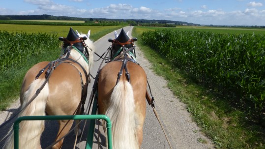 2018 Mit der Kutsche unterwegs