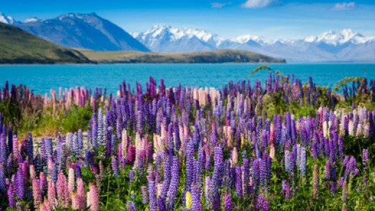 Neuseeland