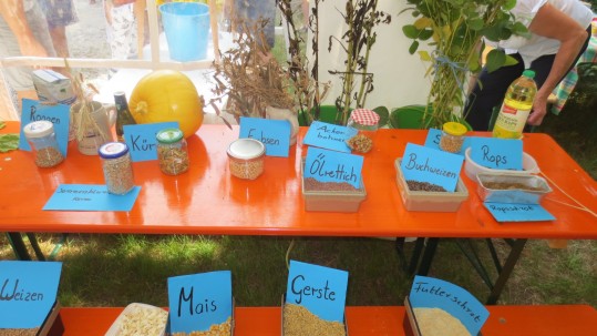 Landkreisfest Ortenburg