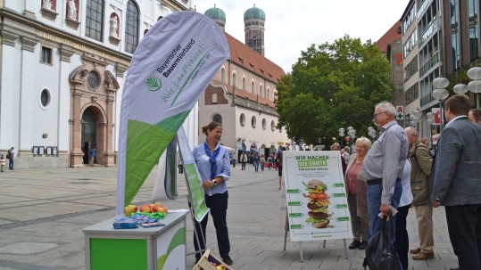 Wir Machen Ernte Aktion in München