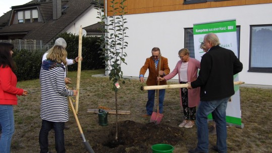Apfelbaumpflanzung