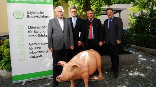 Pressegespräch Ferkelkastration Die vier Protagoniasten beim Pressegespräch zur Ferkelkastration