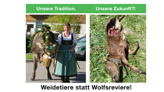 Weidetiere statt Wolfsreviere Weidetiere statt Wolfsreviere