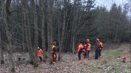 Landfrauen im Wald Landfrauen im Wald