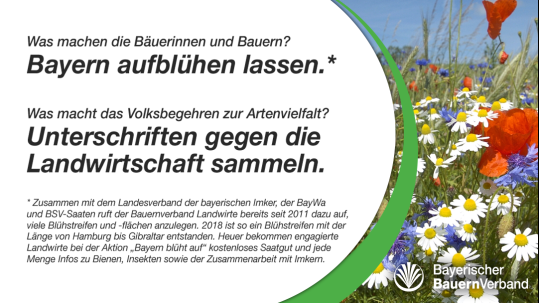 Sharepic Blühflächen Sharepic Blühflächen