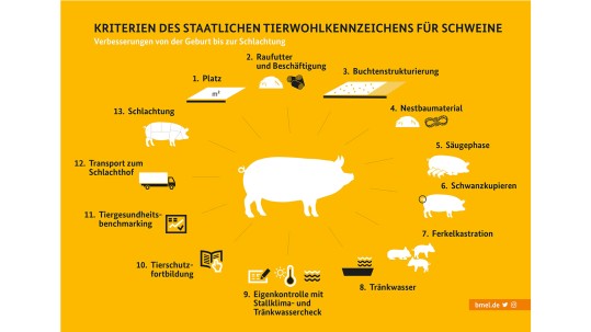 Tierwohlkennzeichen Schwein Grafiken