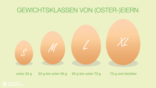 Einstufung der Eier-Größen