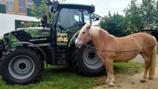 Schlepper und ein Pferd