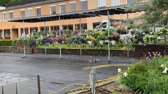 Blumenmeer an der LWG
