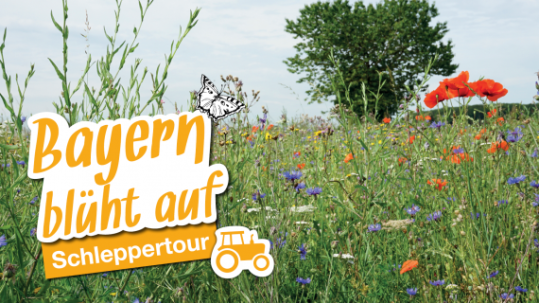 Schleppertour Bayern-blüht-auf Schleppertour Bayern-blüht-auf