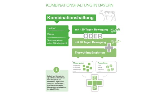 Grafik Kombihaltung