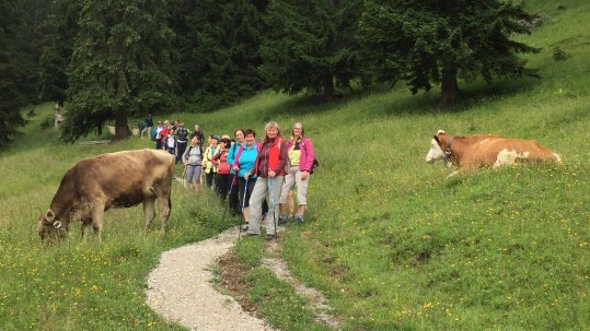 Die Landfrauen auf ihrer Wanderung zur Gehrenalpe