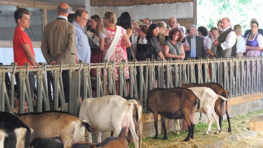 Rundgang der Gäste auf dem Betrieb Scheitz