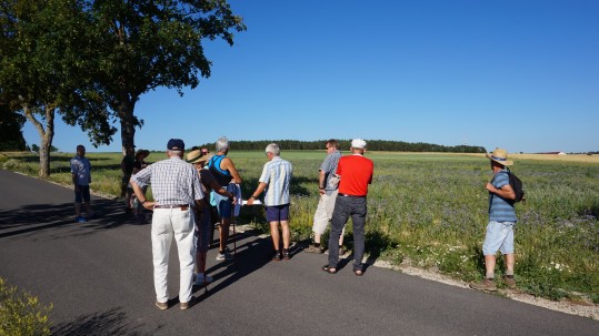 2019-06-29 Flurwanderung Ottowind