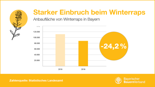 Grafik Anbaufläche Winterraps