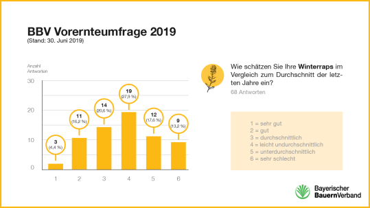 Grafik Umfrage Winterraps