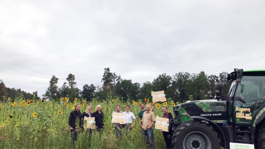 Biogas-Hanffeld mit Blühschlepper