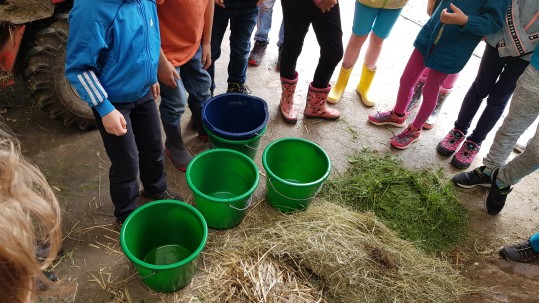 Kindertag auf dem Führerhof in Hohenpeißenberg