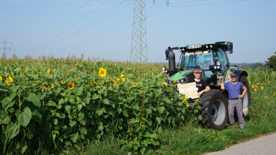 Blühstreifen Osterholzer