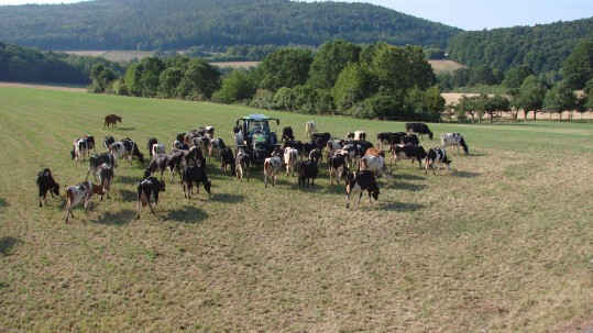 2019-08-05-Schleppertour-Bayern-blüht-auf