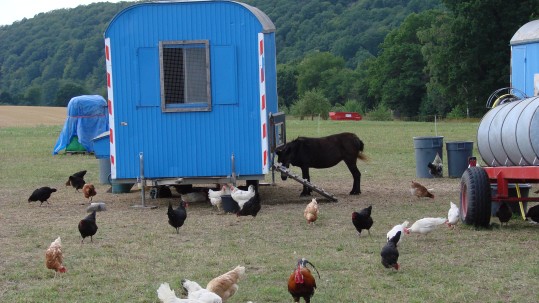 2019-08-05-Schleppertour-Bayern-blüht-auf