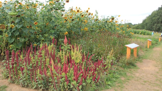 Gartenschau