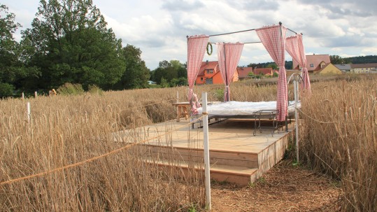 Bett im Kornfeld
