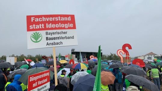 Demonstranten in Mainz
