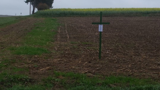 Grünes Kreuz Schwandorf