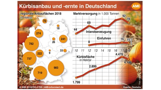 Grafik zum Kürbisanbau und -ernte in Deutschland