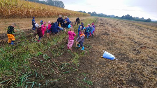 Kindertag-Lauingen-Kugler