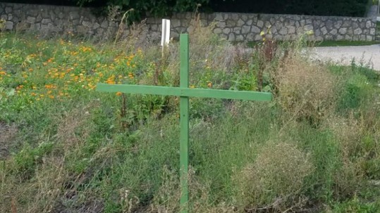 Grünes Kreuz Grünes Kreuz