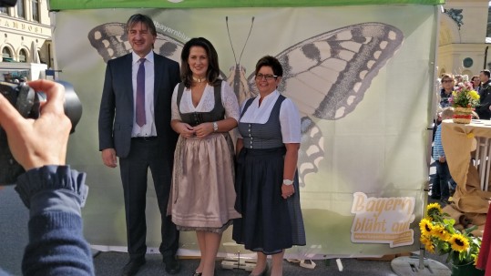 Schmetterling Felßner Kaniber Goeller