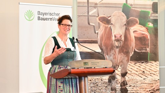 Kreis- und Bezirksbäuerin Christine Singer
