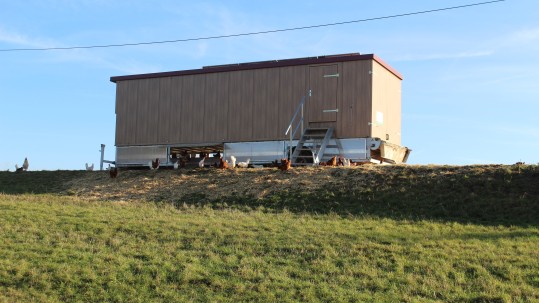 2020-01-15 Stallgespräch Holl