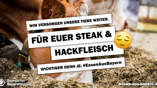 Motiv "Steak und Hackfleisch" Facebook