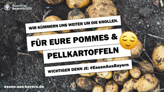 Für eure Pommes und Pellkartoffeln